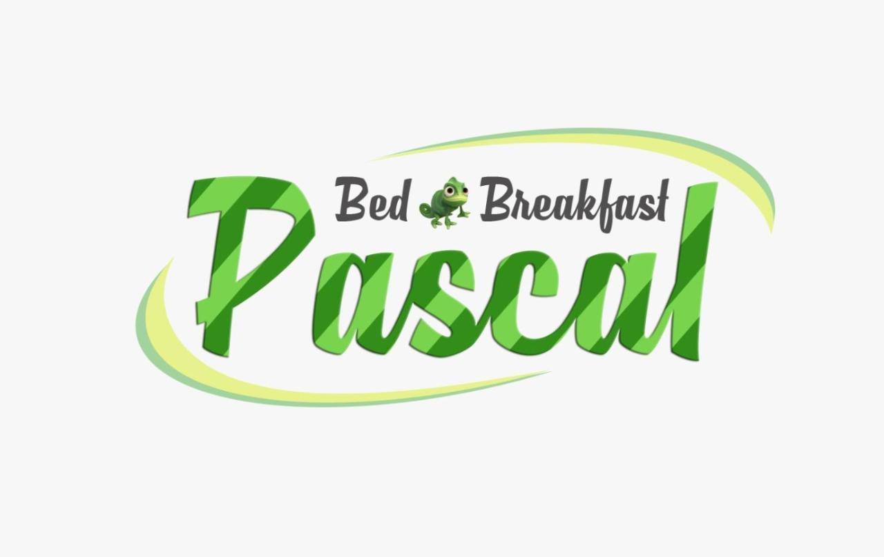 B&B Pascal Cagliari Exterior foto